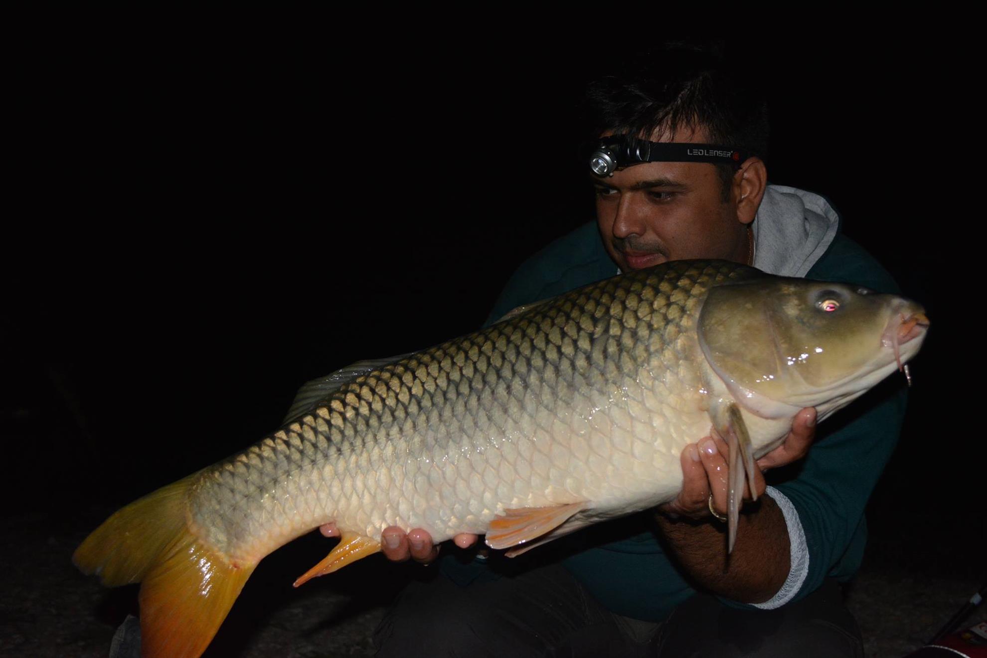 Hermes Peris 12 - 13 septembrie 2014 - 106679196115219422988061243471167o.jpg